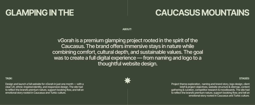 VGORAH Corporate Website - Screenshot 2