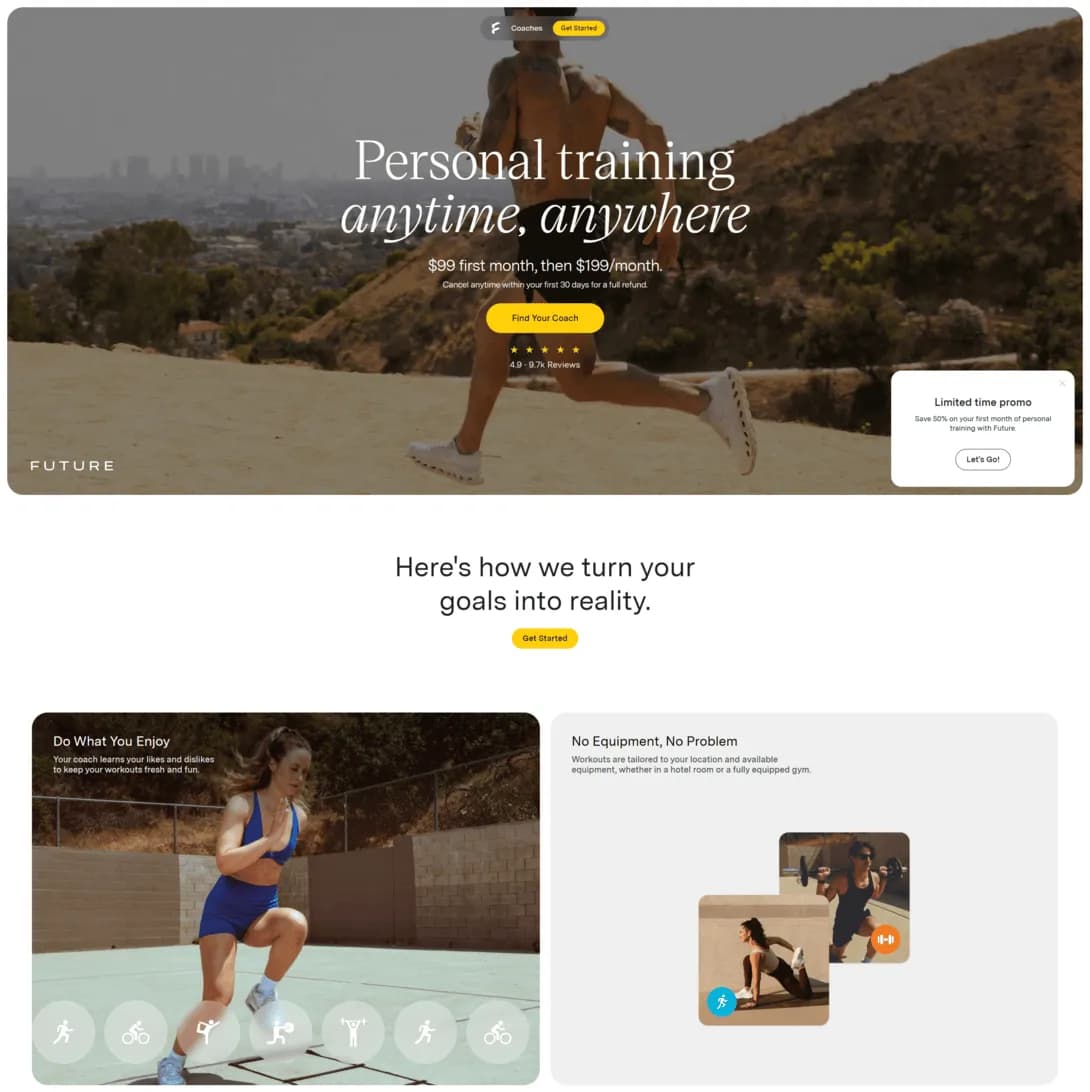 Future website